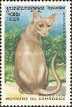 Oriental Shorthair (Felis silvestris catus)