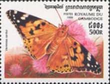 Painted Lady (Vanessa cardui)