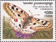 Apollo (Parnassius apollo)