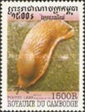 Red Slug (Arion rufus)