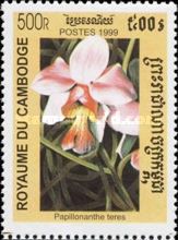 Papilionanthe teres