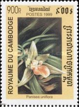 Panisea uniflora