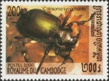 European Calosoma Beetle (Calosoma sycophanta)