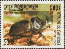 European Rhinoceros Beetle (Oryctes nasicornis)