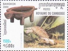 Chinese Pond Turtle (Chinemys reevesi)