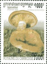 Lactarius scrobiculatus