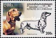 Short-haired Dachshund (Canis lupus familiaris)