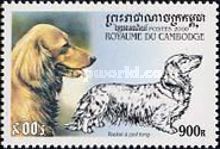 Long-haired Dachshund (Canis lupus familiaris)