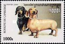 Short-haired Dachshund (Canis lupus familiaris)