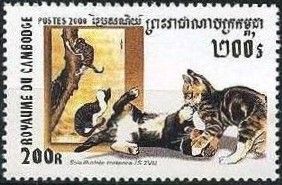 Korean Silk Painting, Domestic Cats (Felis silvestris catus)