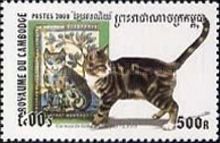 Portuguese Tile, Domestic Cat (Felis silvestris catus)