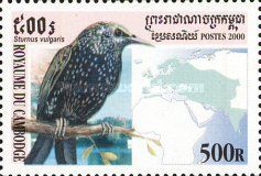 Common Starling (Sturnus vulgaris)