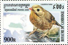 Red-billed Leiothrix (Leiothrix lutea)