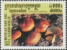 Cortinarius Orellanus
