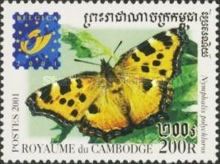 Large Tortoisesshell (Nymphalis polychloros)
