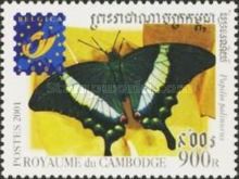 Emerald Swallowtail (Papilio palinurus)