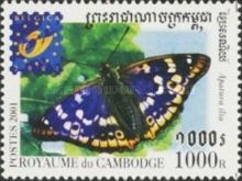 Lesser Purple Emperor (Apatura ilia)
