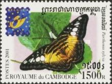 Clipper (Parthenos sylvia)