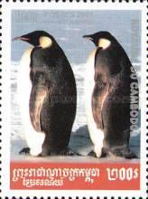 Emperor Penguin (Aptenodytes forsteri)