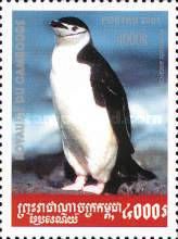 Chinstrap Penguin (Pygoscelis antarctica)
