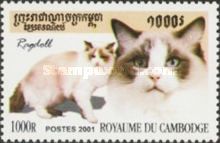 Ragdoll (Felis silvestris catus)