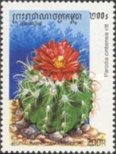 Parodia cintiensis