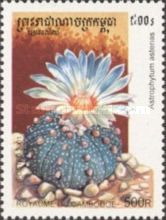 Astrophytum asterias