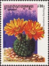 Parodia faustiana