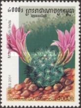 Mammillaria boolii