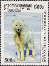 Alaskan Tundra Wolf (Canis lupus tundrarum)