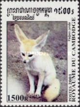 Fennek (Fennecus zerda)