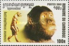Australopithecus amanensis