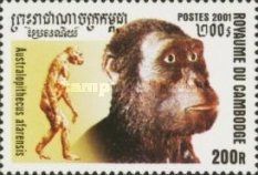Australopithecus afarensis