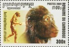 Australopithecus africanus