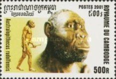 Australopithecus rudolfensis