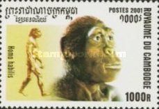 Homo habilis