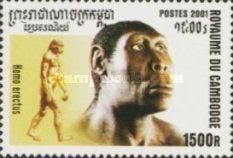 Homo erectus