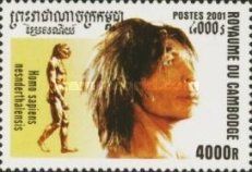 Homo sapiens