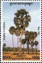 Sugar-palm Trunk