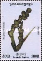Sugar-palm Female Flower
