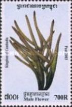 Sugar-palm Male Flower