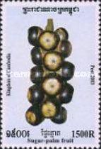 Sugar-palm Fruit.