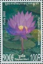Nymphaea lotus: Purple