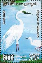 Great Egret (Casmerodius alba)