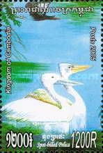 Spot-billed Pelican (Pelecanus philippensis)