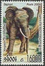 Asian Elephant (Elephas maximus)