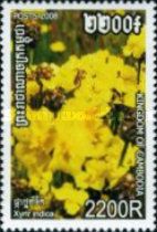 Xyris indica