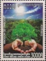 Hands hold tree