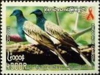 Doves