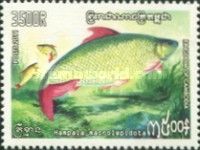 Hampala Barb (Hampala macrolepidota)